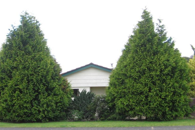 Photo of property in 55 Ascot Road, Mount Maunganui, 3116