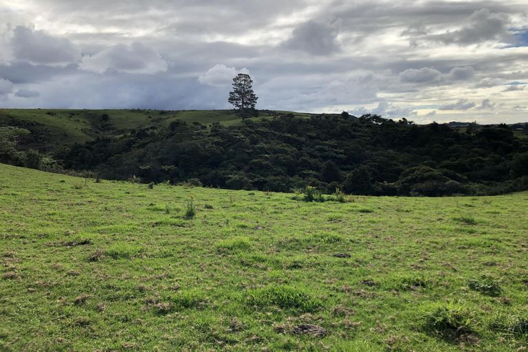 Photo of property in 698 Pungaere Road, Waipapa, Kerikeri, 0295