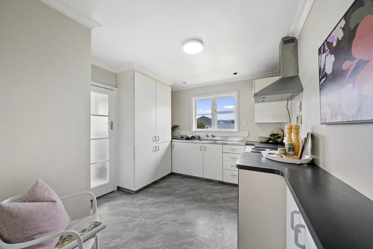 Photo of property in 96 Tiro Tiro Road, Levin, 5510