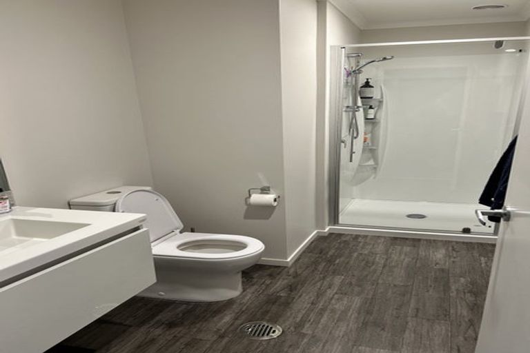 Photo of property in 18u8 Hunter Street, Hamilton Lake, Hamilton, 3204