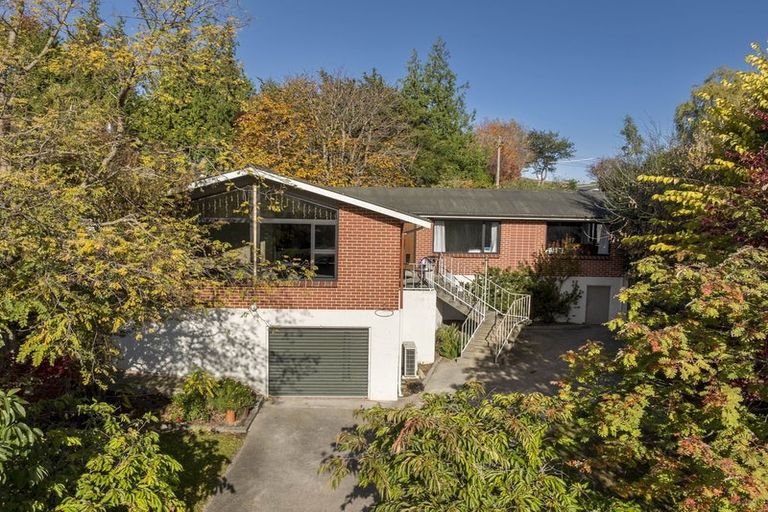 Photo of property in 54 Wilson Road, Balclutha, 9230