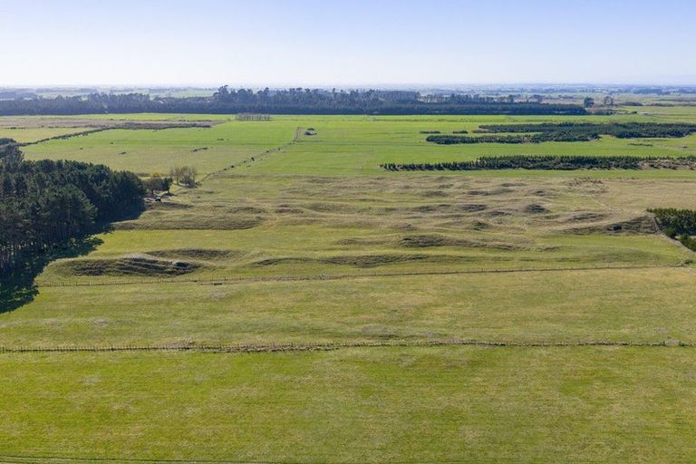 Photo of property in 177 Downs Road, Geraldine Downs, Geraldine, 7991