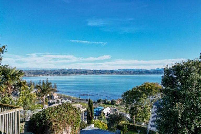 Photo of property in 33 Seapoint Road, Bluff Hill, Napier, 4110