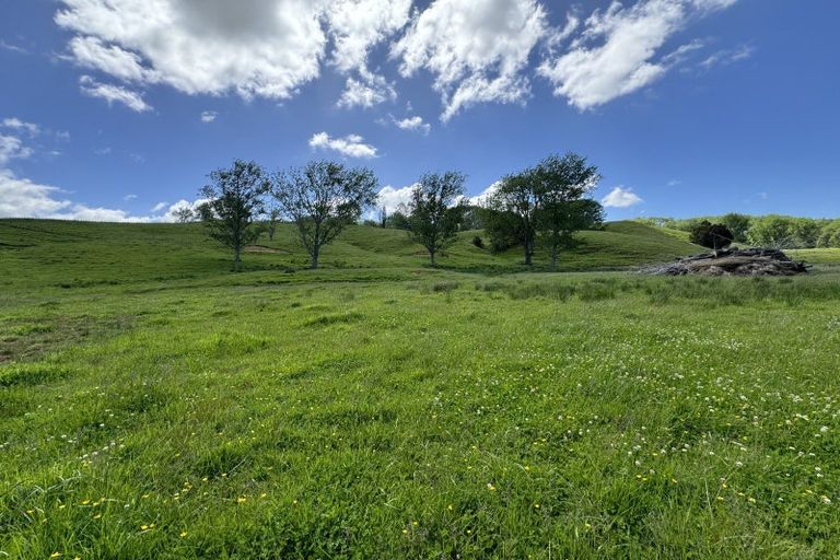 Photo of property in 445 Avoca Road, Mamaranui, Dargaville, 0372