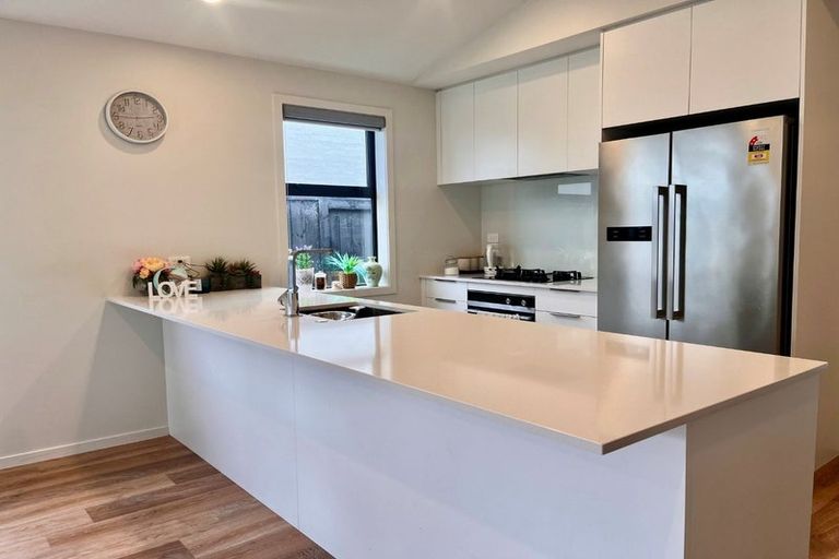 Photo of property in 19 Guillaume Street, Chartwell, 3210