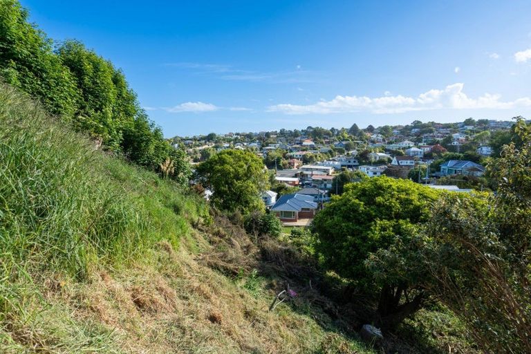 Photo of property in 16 Aitken Place, Mornington, Dunedin, 9011