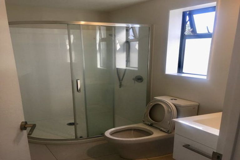 Photo of property in 41 Lemon Tree Lane, Flat Bush, Auckland, 2019