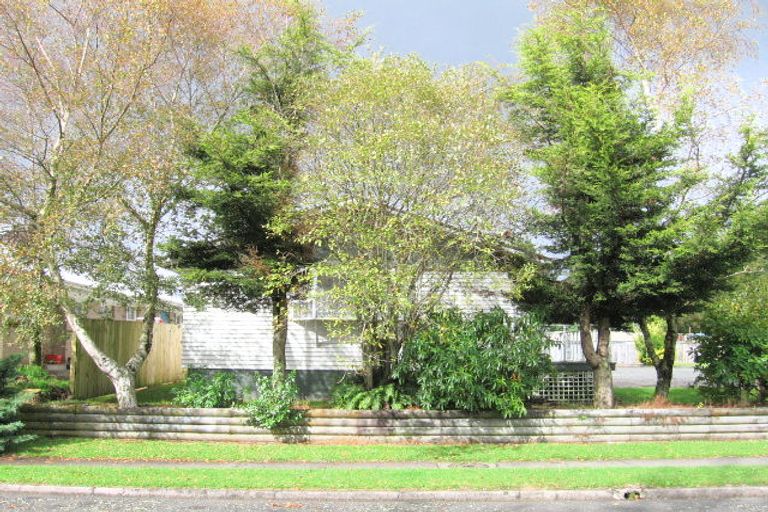 Photo of property in 21b Hinau Street, Tokoroa, 3420