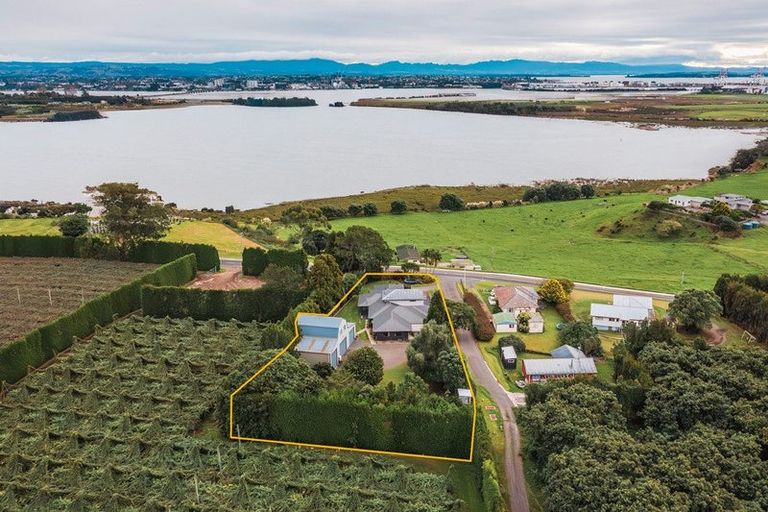 Photo of property in 187 Matapihi Road, Matapihi, Tauranga, 3175