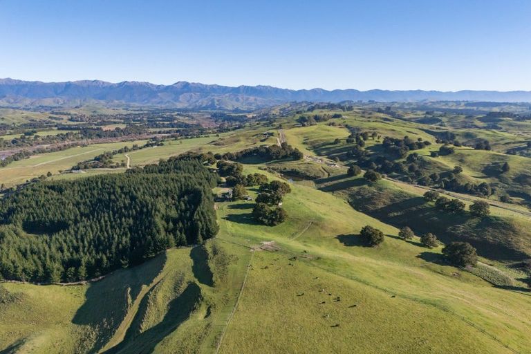 Photo of property in 613 Blackburn Road, Ongaonga, 4278