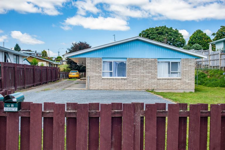 Photo of property in 12 Harpers Avenue, Otorohanga, 3900