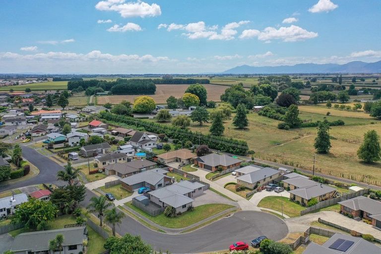 Photo of property in 32 Nikau Place, Matamata, 3400