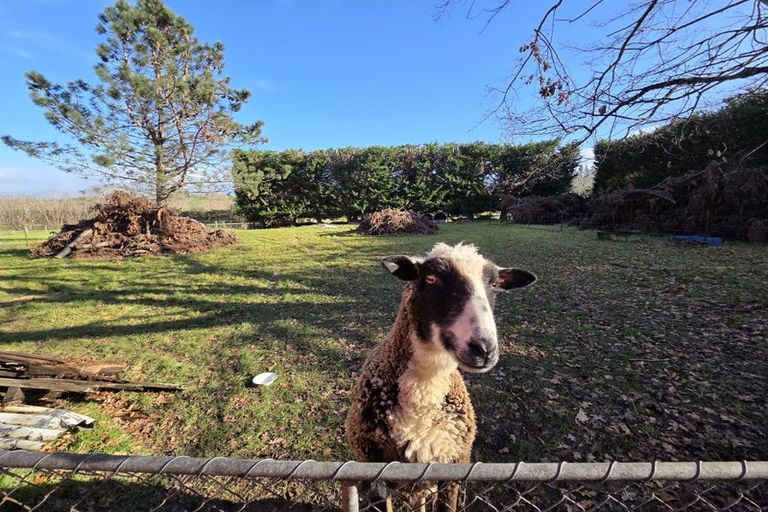 Photo of property in 905 Tuapeka Mouth Road, Tuapeka Mouth, Balclutha, 9274