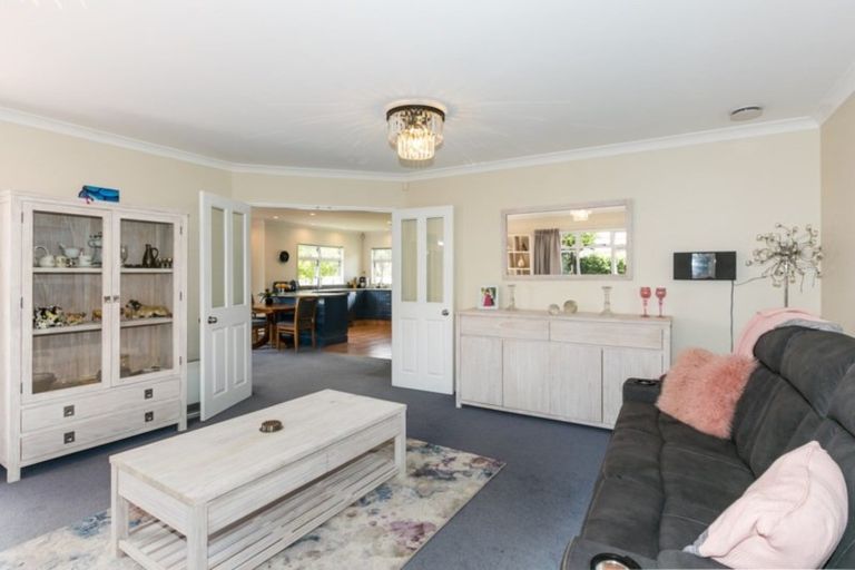 Photo of property in 41 Palmbrook Avenue, Havelock North, 4130