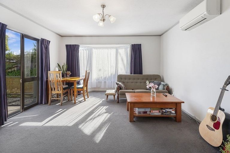 Photo of property in 115f3 Owen Street, Newtown, Wellington, 6021