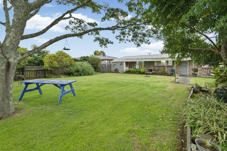 Photo of property in 24 Hayes Avenue, Gate Pa, Tauranga, 3112