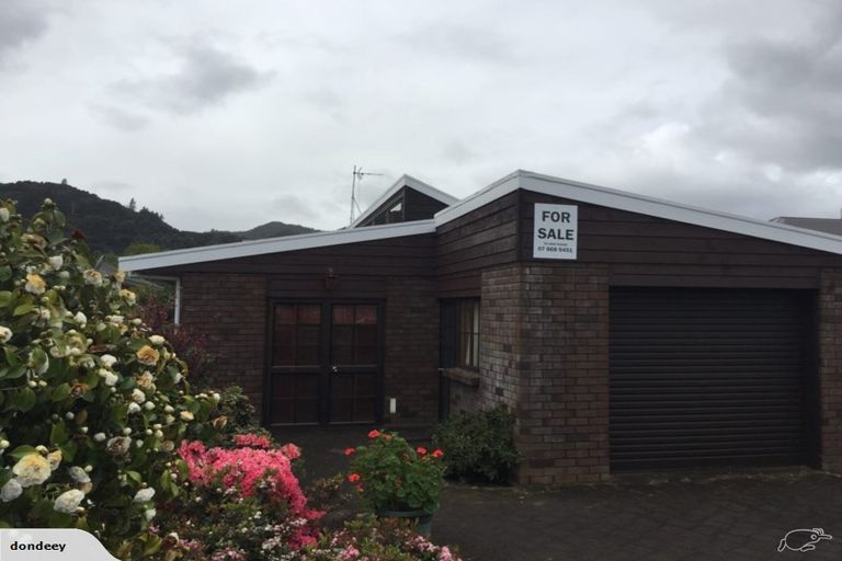 Photo of property in 306 Mackay Street, Thames, 3500