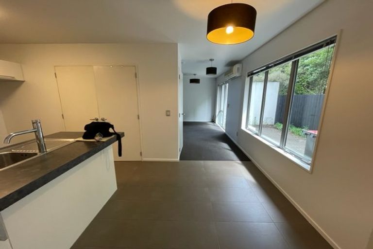 Photo of property in 47a Burlington Street, Sydenham, Christchurch, 8023