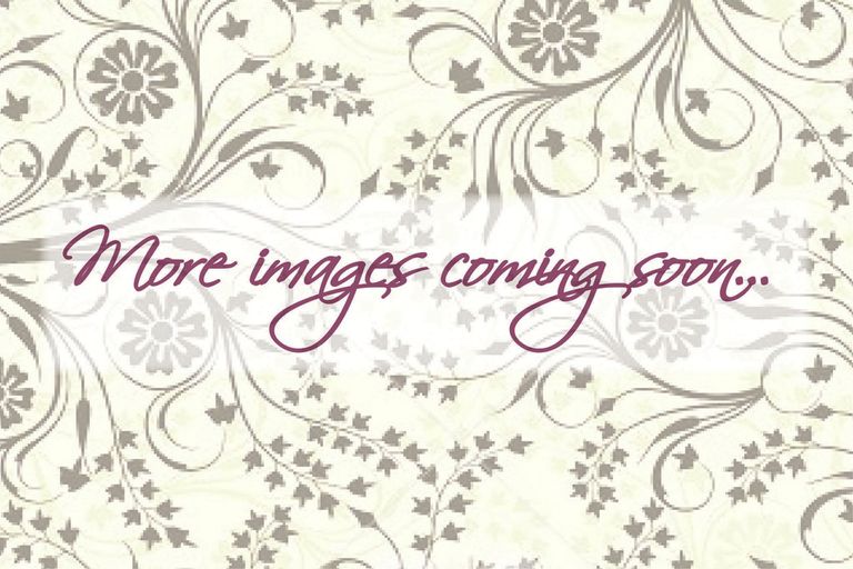 Photo of property in 9 Saint Andrews Place, Te Kamo, Whangarei, 0112