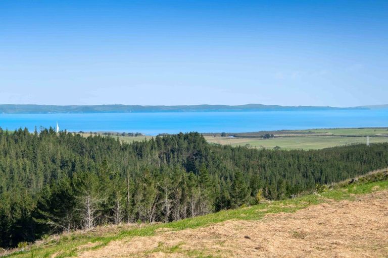 Photo of property in 197 Tuhirangi Road, Makarau, 0984