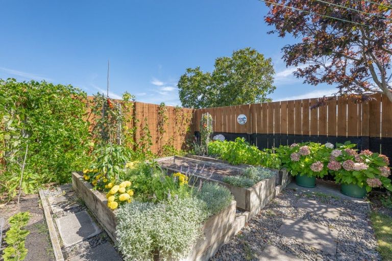 Photo of property in 50 Hope Drive, Witherlea, Blenheim, 7201