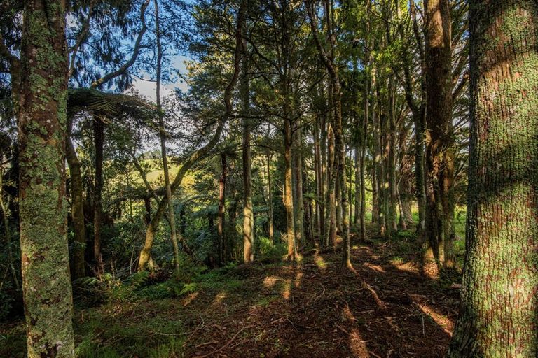 Photo of property in 362a Whananaki Road North, Opuawhanga, Hikurangi, 0181
