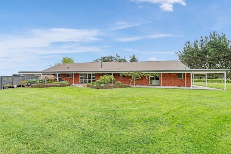 Photo of property in 245 Halcombe Road, Feilding, 4775