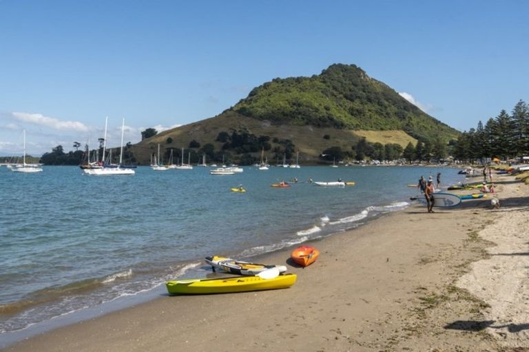 Photo of property in 62f Maunganui Road, Mount Maunganui, 3116