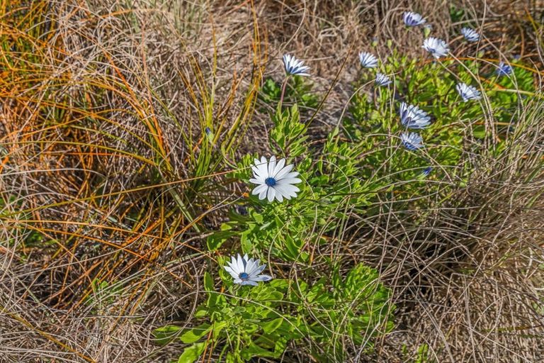 Photo of property in 73 Pukehina Parade, Pukehina, Te Puke, 3189