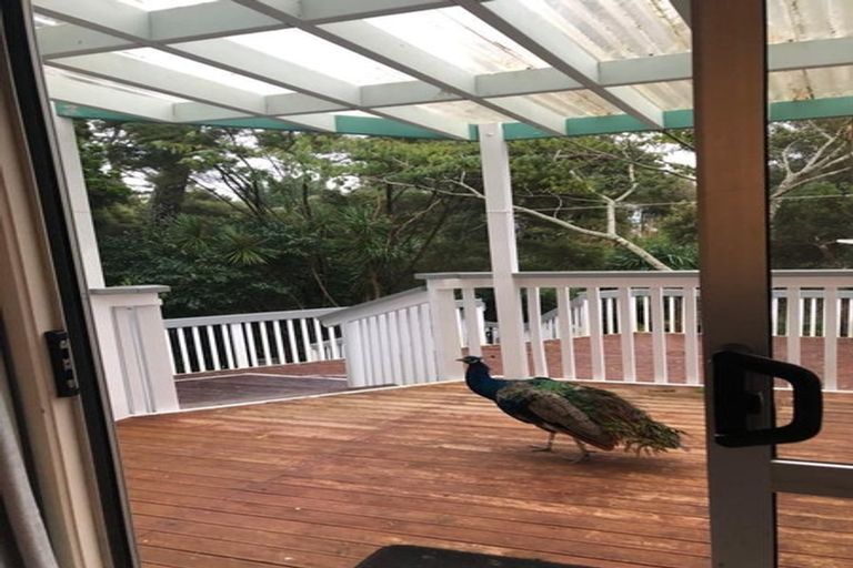 Photo of property in 138 Lynwood Road, New Lynn, Auckland, 0600