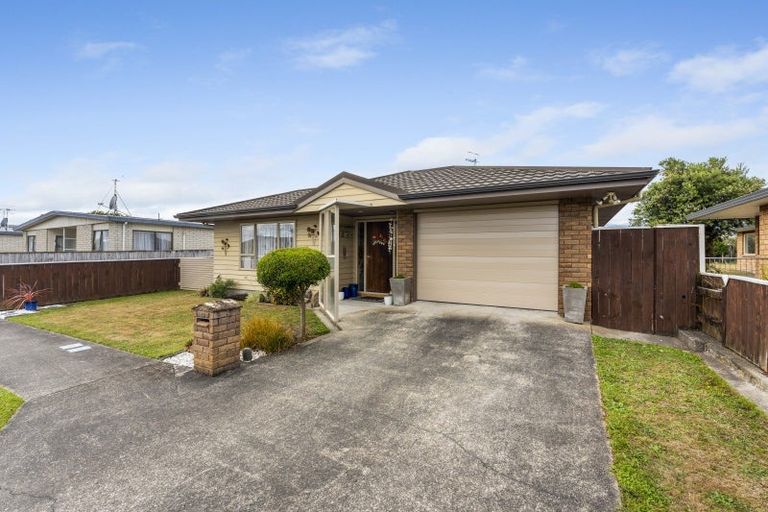 Photo of property in 14 Rugby Street, Levin, 5510