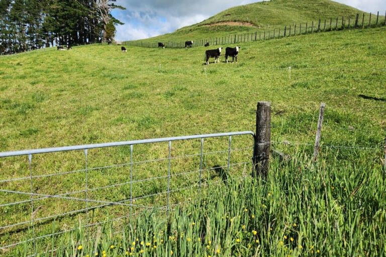 Photo of property in 133 Kaimata Road, Kaimata, Inglewood, 4390