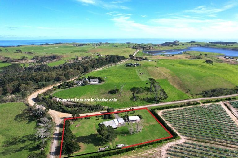Photo of property in 259 Redhill Cemetery Road, Te Kopuru, Dargaville, 0371