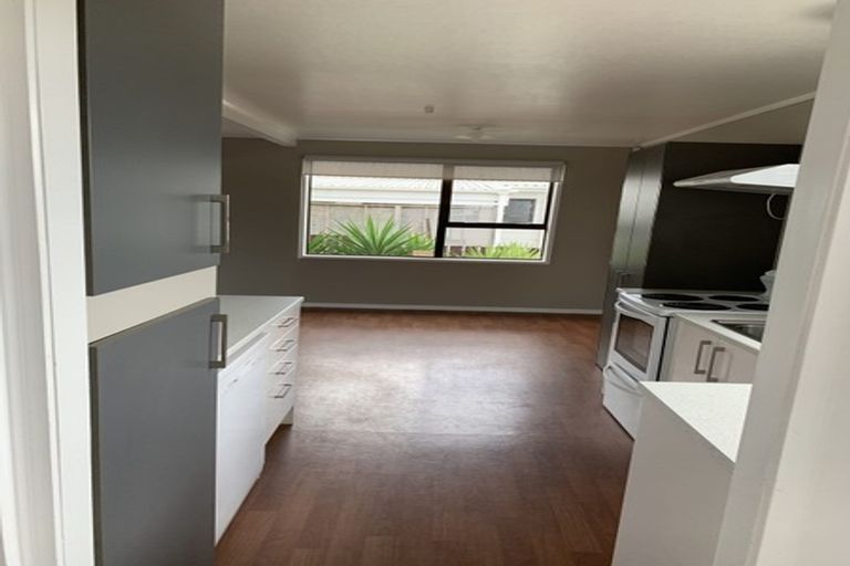 Photo of property in 45 Hooper Avenue, Pukekohe, 2120