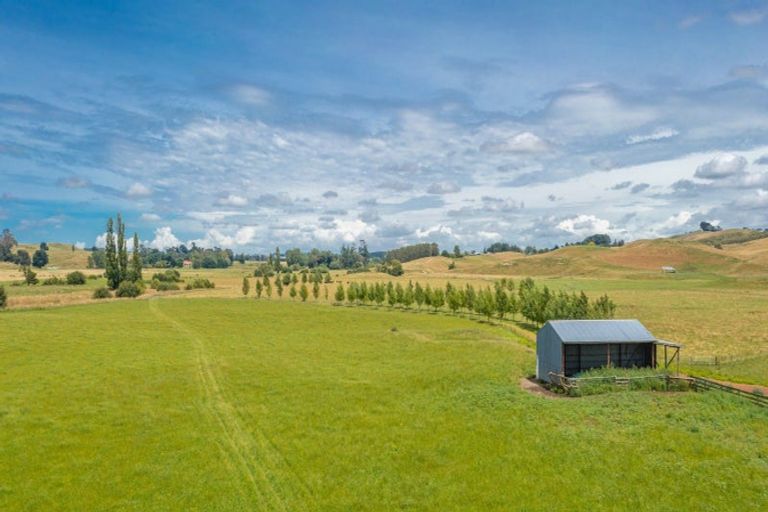 Photo of property in 359 Mangatarata Road, Waipukurau, 4285