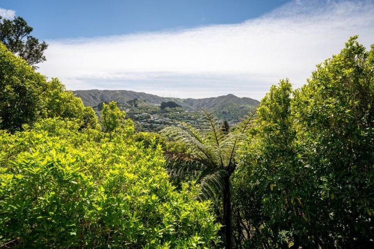 Photo of property in 160 Cecil Road, Wilton, Wellington, 6012