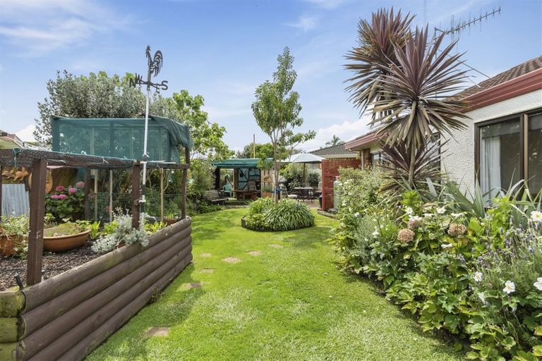 Photo of property in 31b Hibiscus Avenue, Mount Maunganui, 3116
