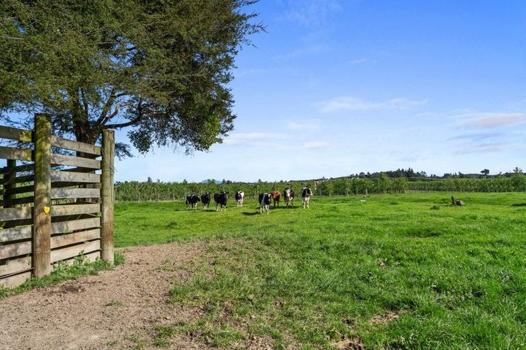 Photo of property in 71 Waiwhero Road, Lower Moutere, Upper Moutere, 7175