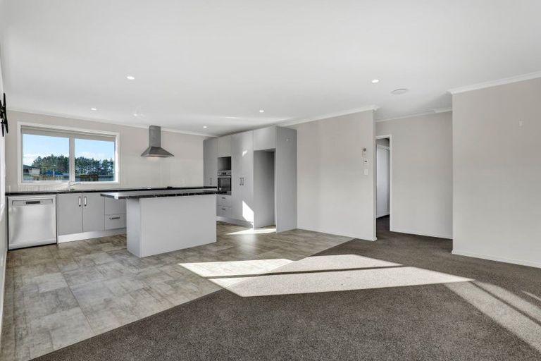 Photo of property in 10 Biron Place, Stratford, 4332