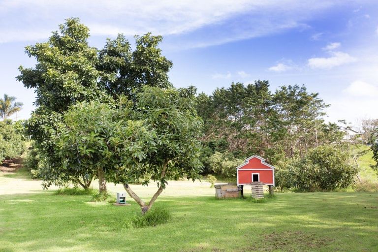 Photo of property in 3203 Pouto Road, Te Kopuru, 0391