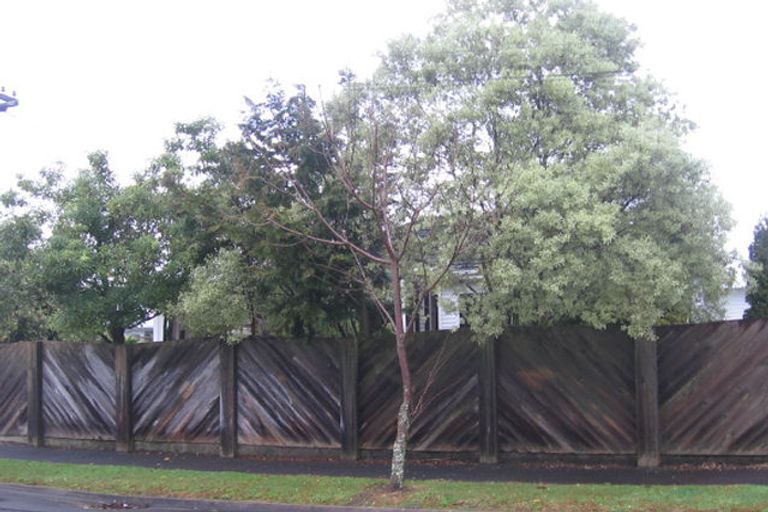 Photo of property in 4 Stewart Place, Melville, Hamilton, 3206