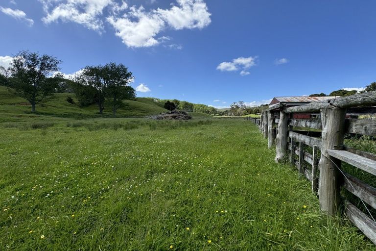 Photo of property in 445 Avoca Road, Mamaranui, Dargaville, 0372