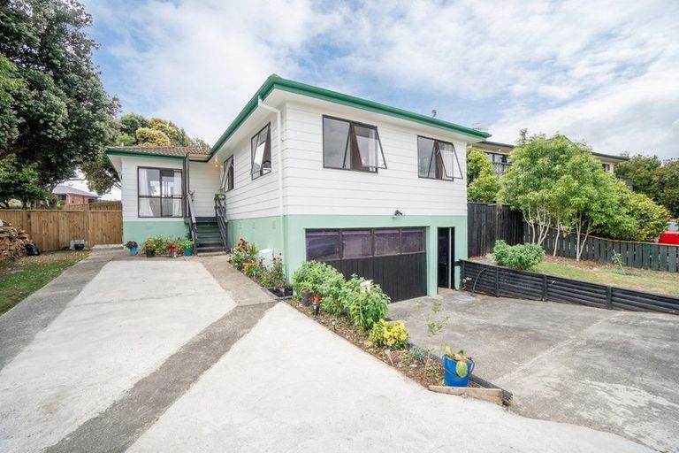 Photo of property in 47 Fraser Drive, Feilding, 4702