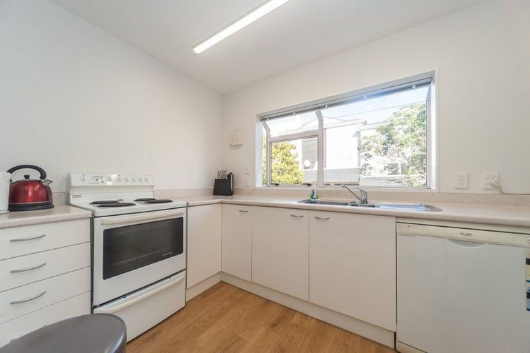 Photo of property in 19/20 Thompson Street, Mount Cook, Wellington, 6011