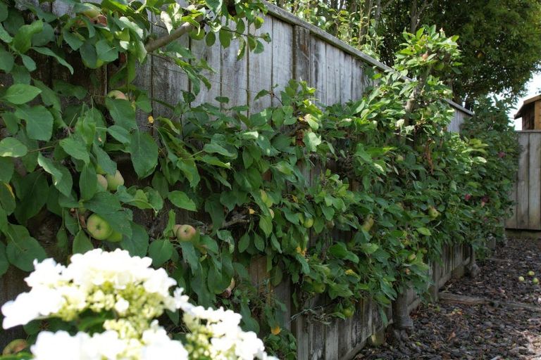 Photo of property in 18 Ludlam Way, Otaki, 5512