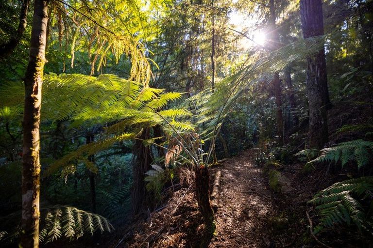 Photo of property in 22 Herring Stream Road, Motueka Valley, Motueka, 7196