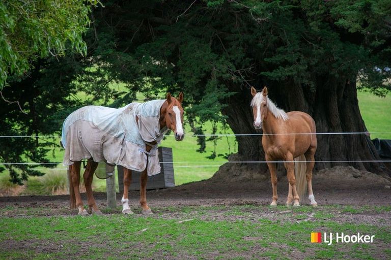 Photo of property in 16 Woodside Road, Woodside, Outram, 9073