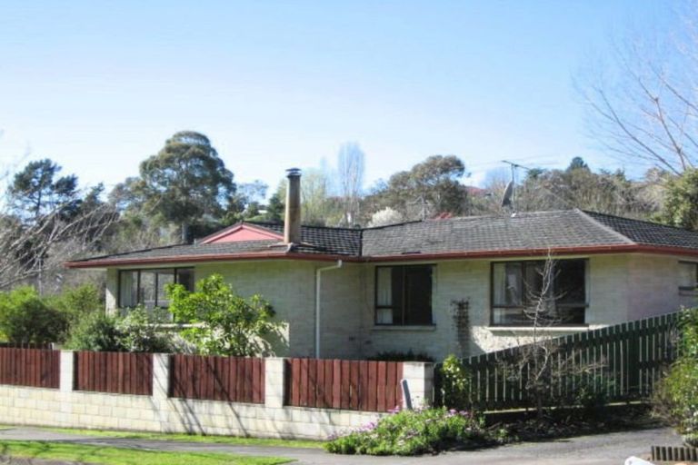 Photo of property in 3 Toop Street, Havelock North, 4130