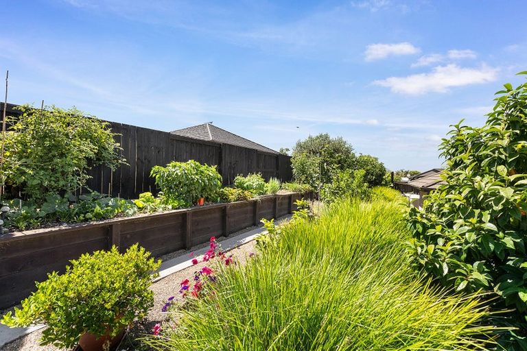 Photo of property in 19 Meadowview Drive, Morrinsville, 3300