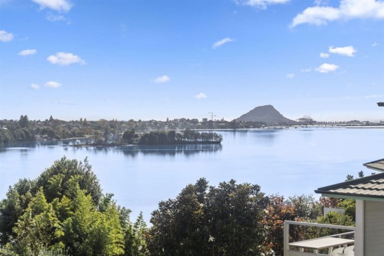 Photo of property in 26 Sunset Crescent, Maungatapu, Tauranga, 3112